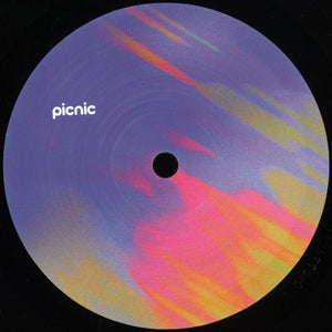 Various Artists - PICNIC007 (PICNIC007)