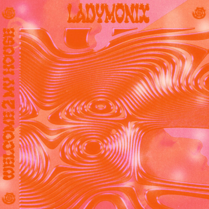 Ladymonix - Welcome 3 My House (Barn088)