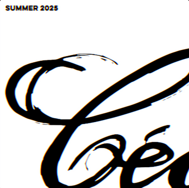 Various Artists - Summer 2025 (2x12