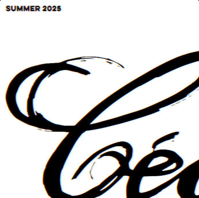 Various Artists - Summer 2025 (2x12