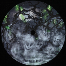 Lazer Man/R.e.s.s  - Woods Ritual (SW003)