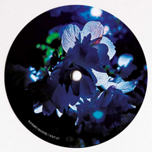 Matt Thibideau - Chromatic Noise (KNT47)