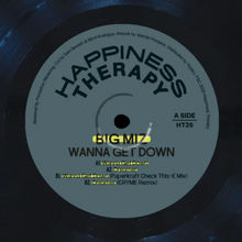Big Miz - Wanna Get Down (HT26)