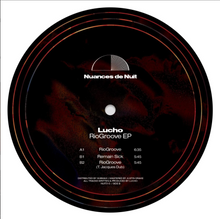 Lucho - RioGroove (NUIT013)