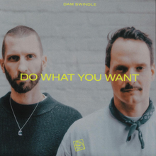 Dam Swindle - Do What You Want (PIV081)