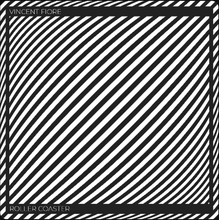 Vincent Fiore - Roller Coaster (2X12") (PSV002)