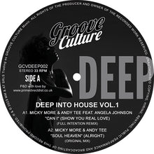 Various Artists - Deep Into House Vol 1 (GCVDEEP002)
