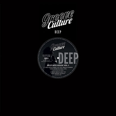 Various Artists - Deep Into House Vol 1 (GCVDEEP002)