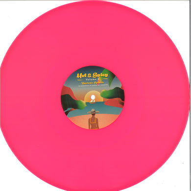 Various - Hot & Spicy VOL.5 (HNS005)