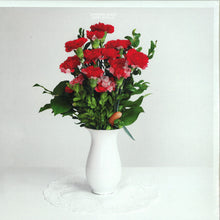Johannes Albert - Hotel Novalis 2x12" (FM12010)