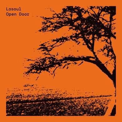 Losoul - Open Door [2 x 12